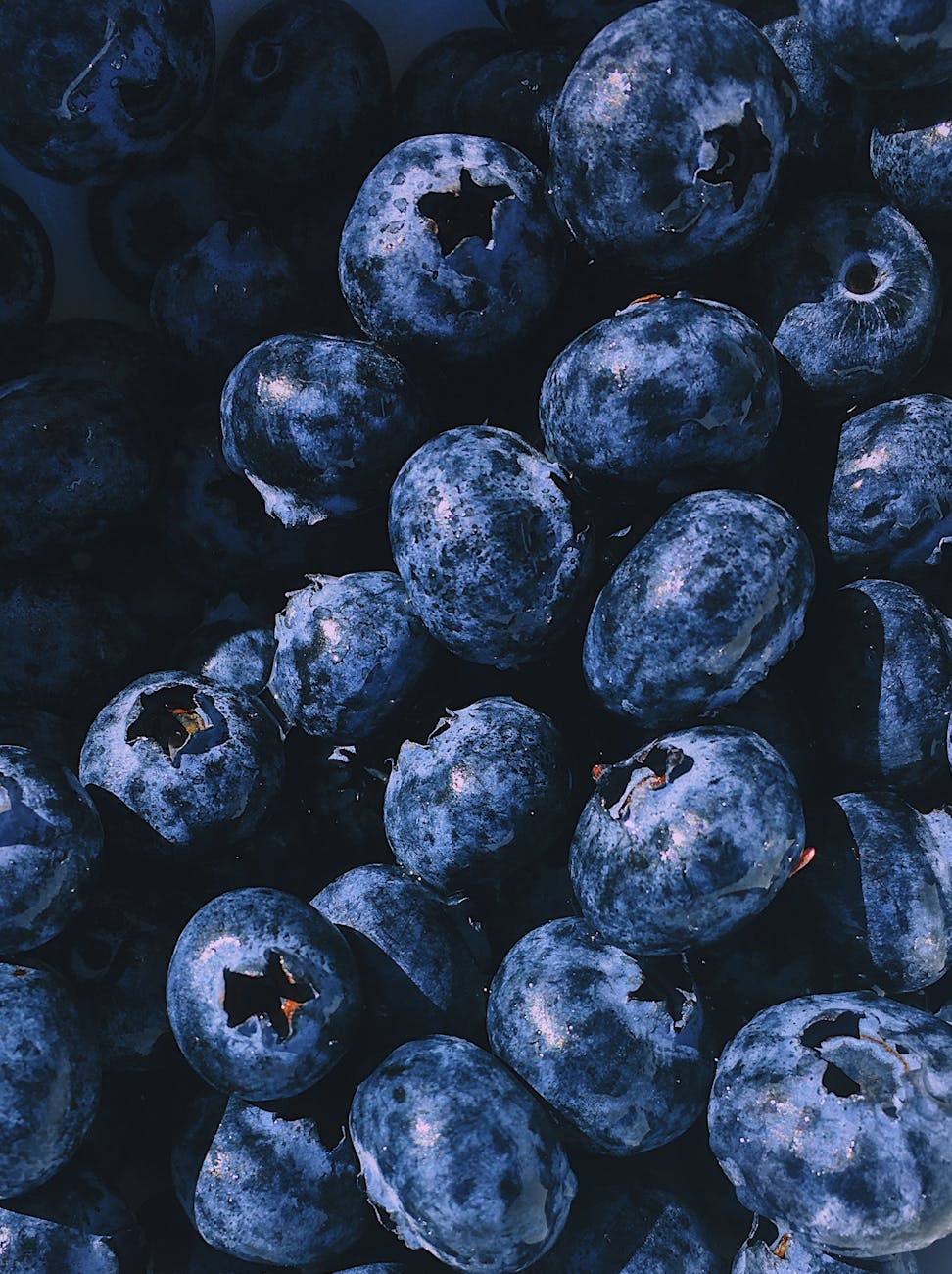 Antioxidantien und Darmgesundheit – wie sie gemeinsam unser Wohlbefinden stärken